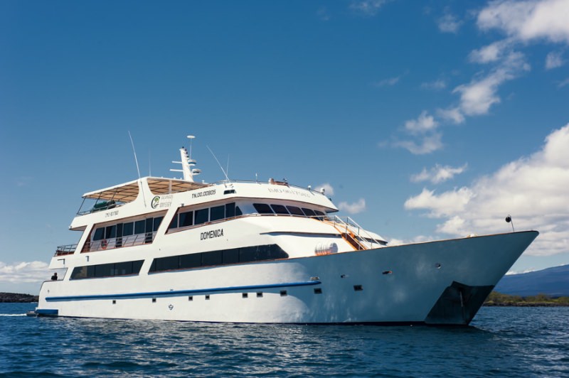 galapagos sea star journey - Yacht Charter Galapagos & Boat hire in Galapagos, Seymour Marina 2