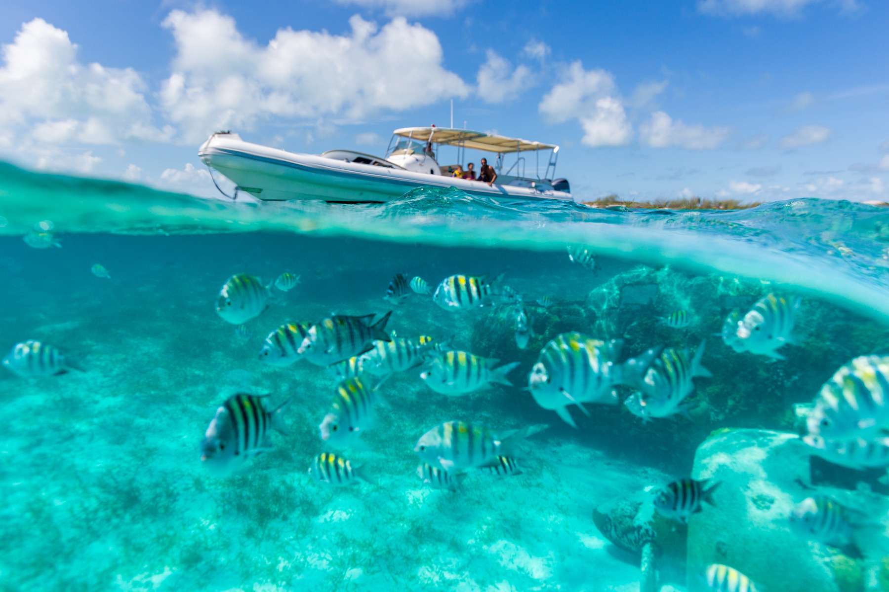 lady joy  - Superyacht charter British Virgin Island & Boat hire in Caribbean 5