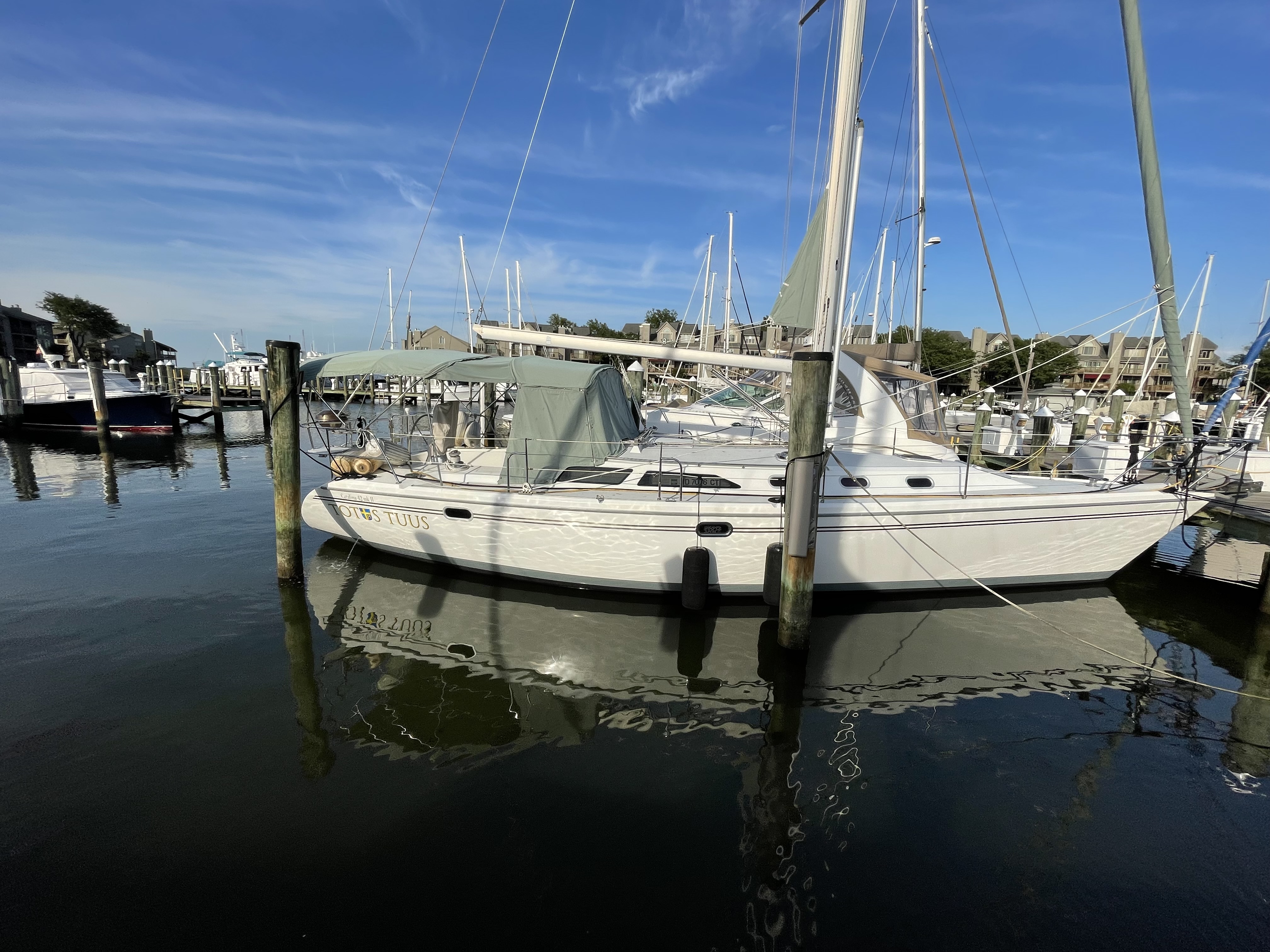 Catalina 42 - Sailboat Charter USA & Boat hire in United States Chesapeake Bay Maryland Annapolis Annapolis City Marina 3