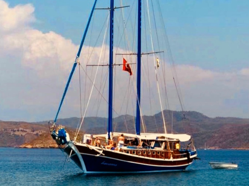 Gulet - Gulet Charter Turkey & Boat hire in Turkey Turkish Riviera Carian Coast Bodrum Milta Bodrum Marina 1